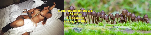 экстази Алзамай