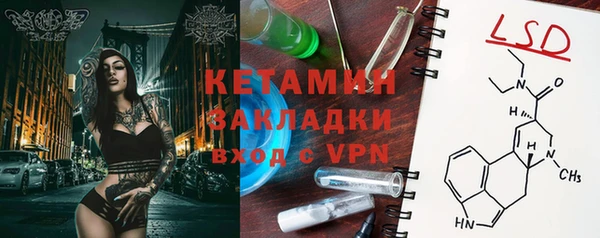 индика Медвежьегорск