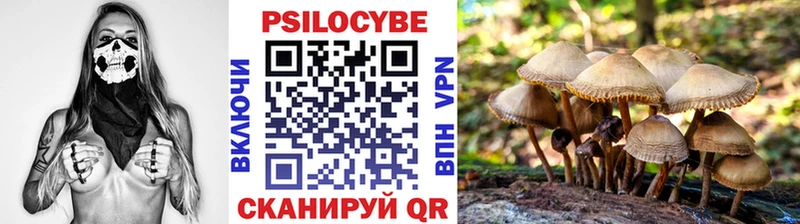 Псилоцибиновые грибы прущие грибы  сколько стоит  Пермь 