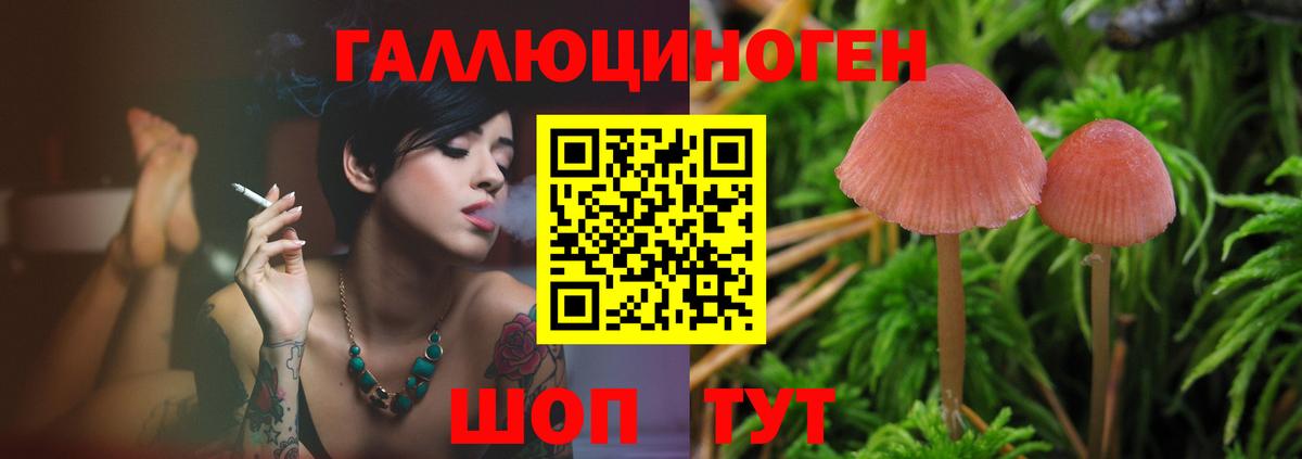 Псилоцибиновые грибы GOLDEN TEACHER  Вход с VPN  Пермь  Галлюциногенные грибы MAGIC MUSHROOMS 